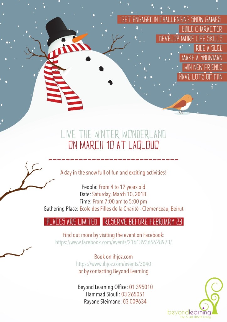 Snow Trip Flyer